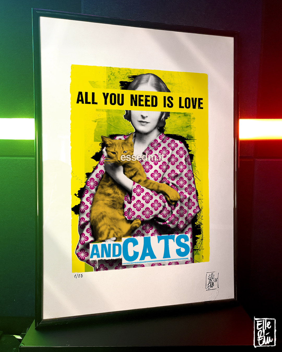 All you need is love and cats